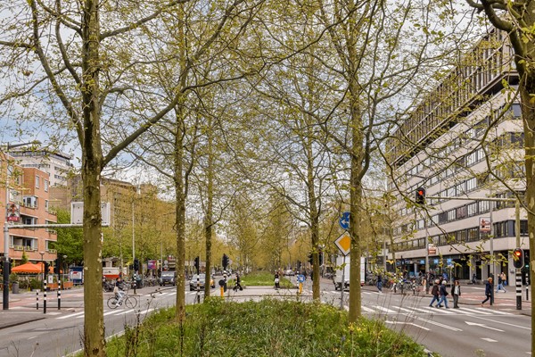 Foto - Verkocht onder voorbehoud: Ruyschstraat 50-2, 1091 CD Amsterdam